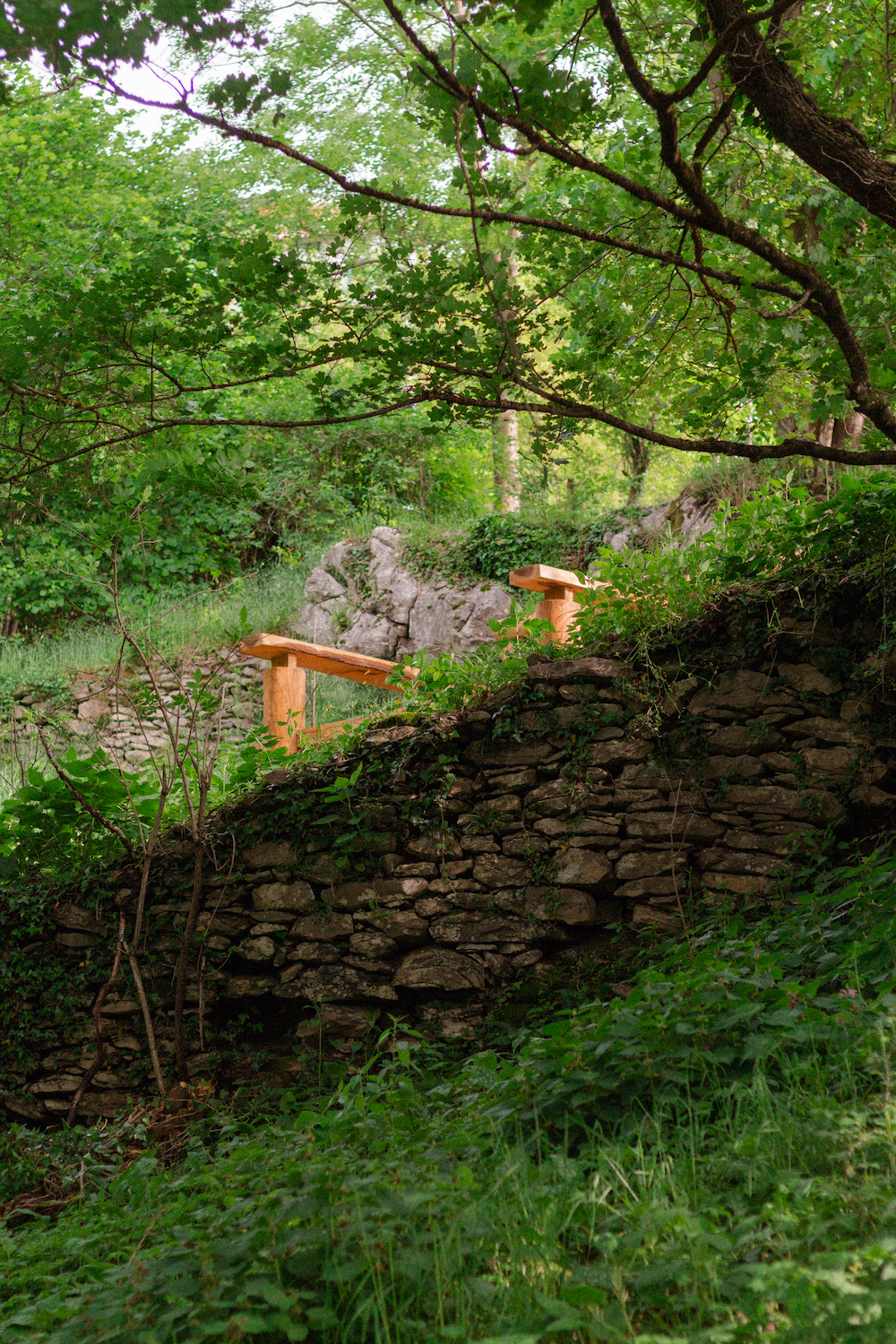 Photo by Antônio Frederico Lasalvia